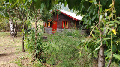 Exterior de Cabañas Ucihuen - foto 8