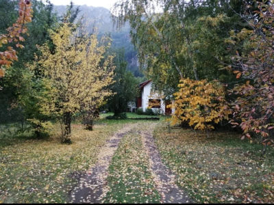 Exterior de Cabañas Ucihuen - foto 12