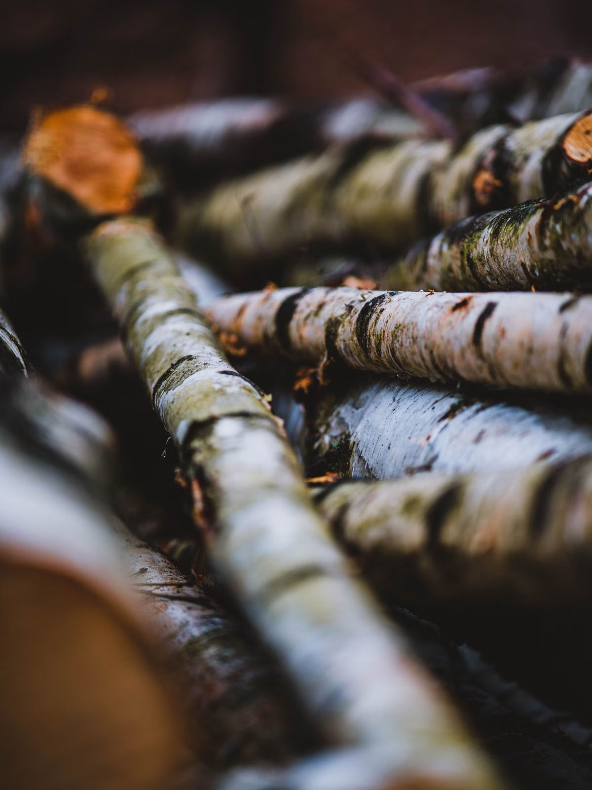 Estate cleanouts: a gentler approach