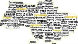 Ukrainian dialect