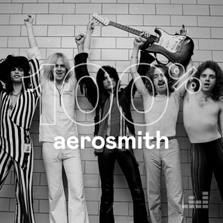 100% Aerosmith