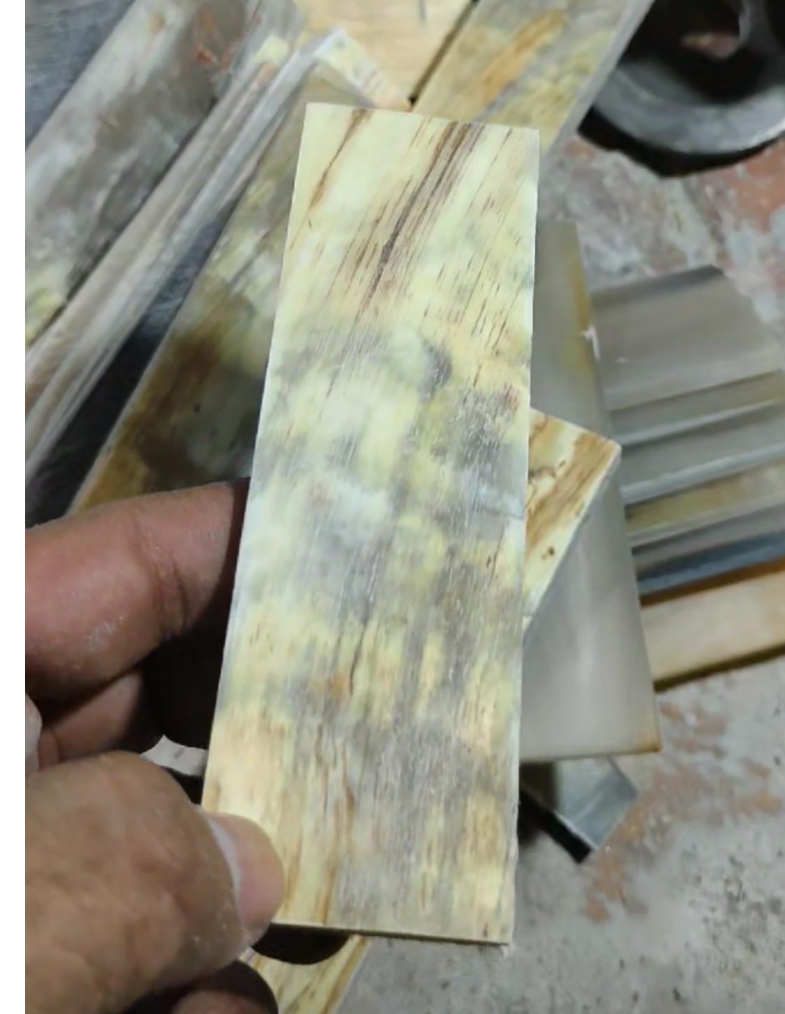 Cow horn scale