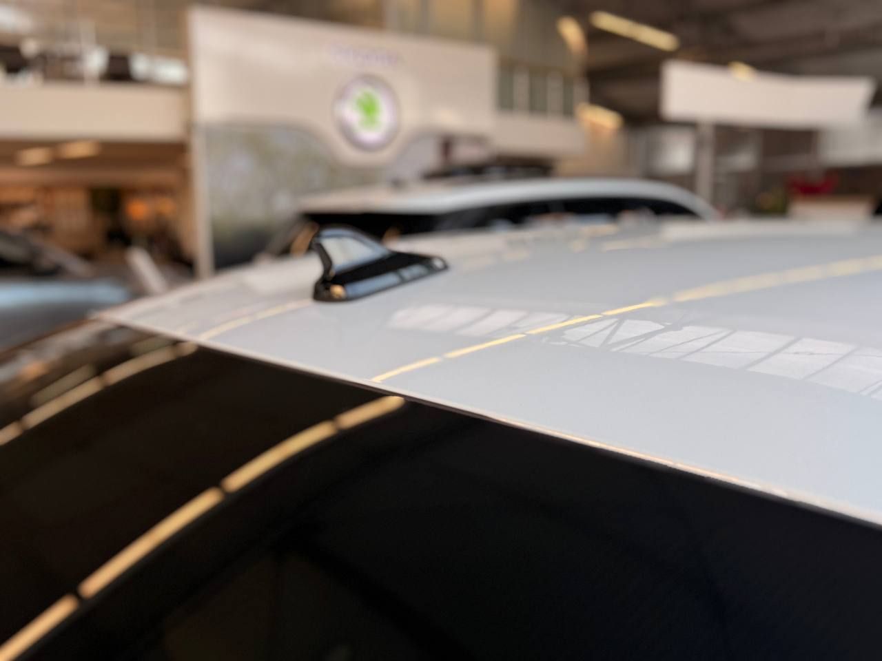 photo_6_2026-03-10_17-36-10