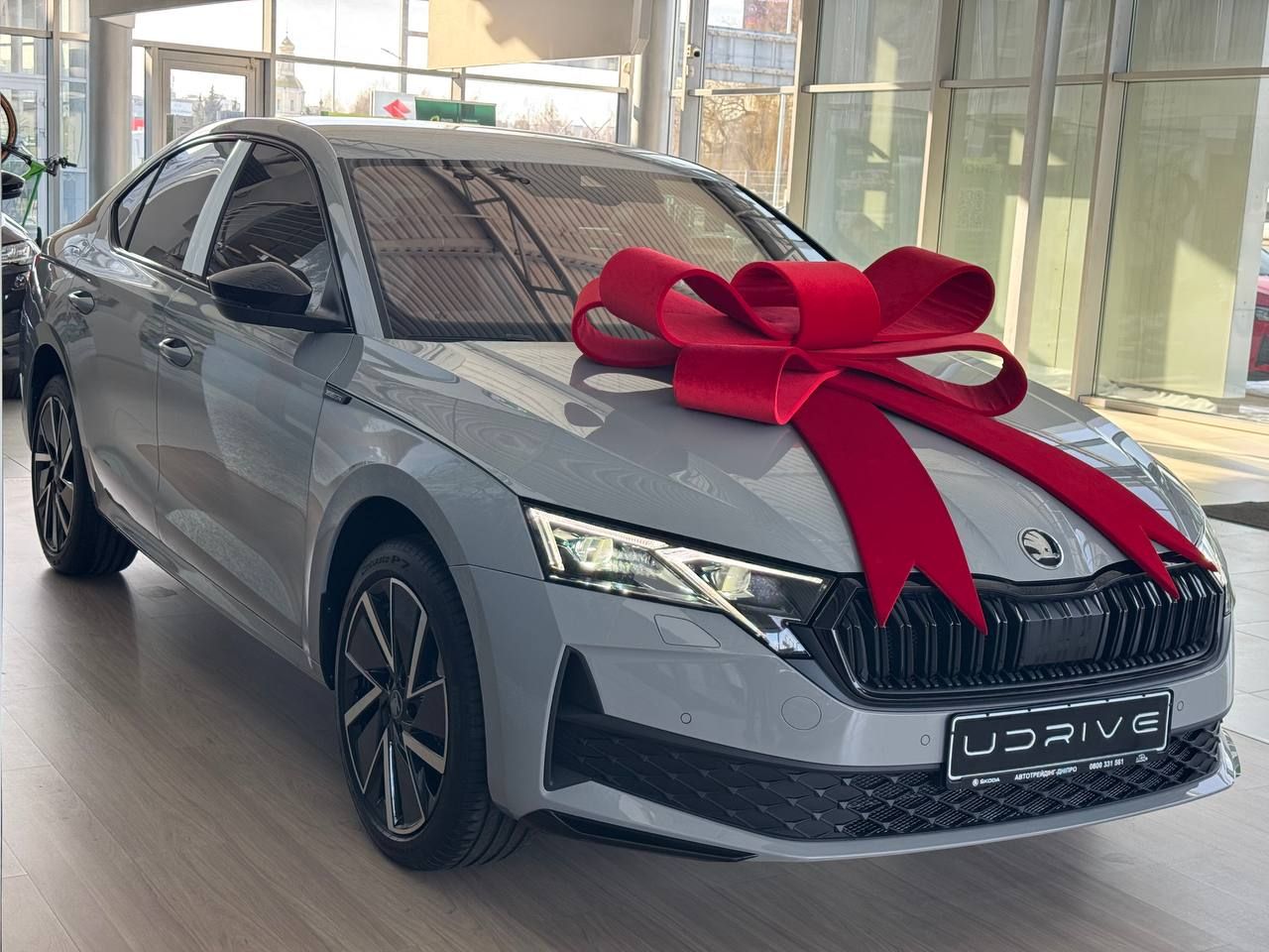 photo_5456280548687941137_y