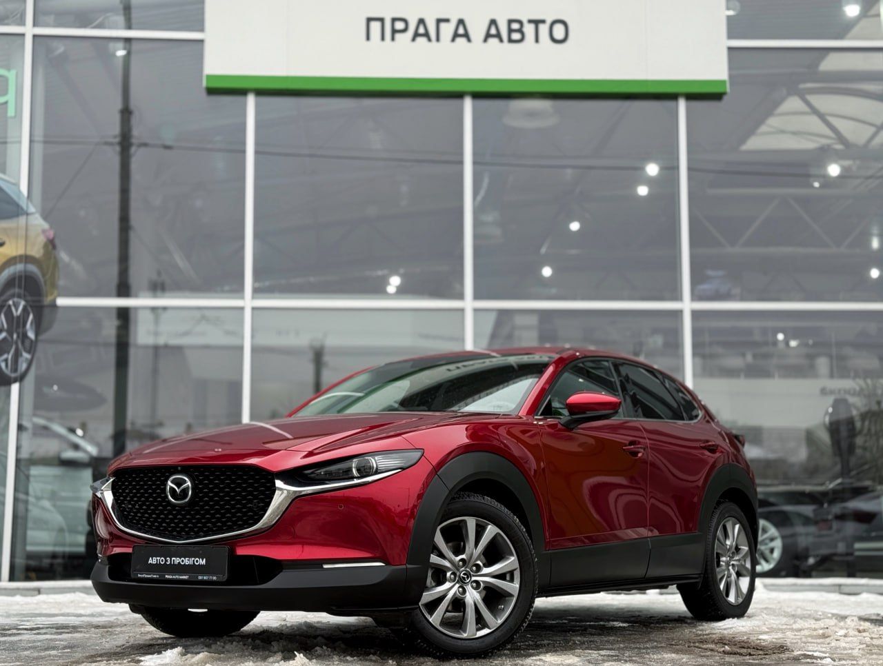 photo_14_2026-02-13_11-50-43