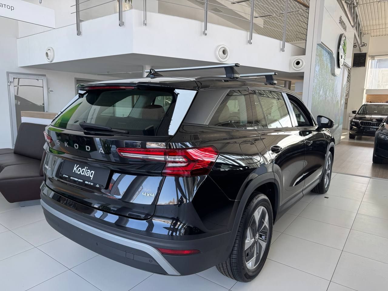 photo_5316988024766197226_y