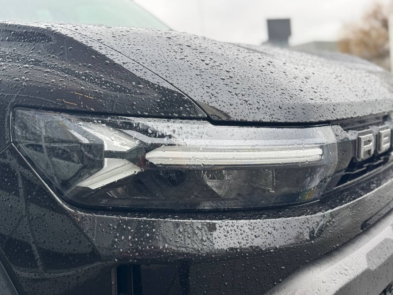 photo_2026-02-26_12-17-08