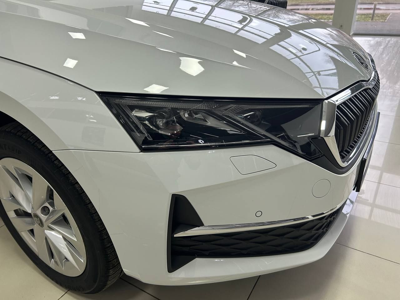 photo_2026-02-16_15-50-32