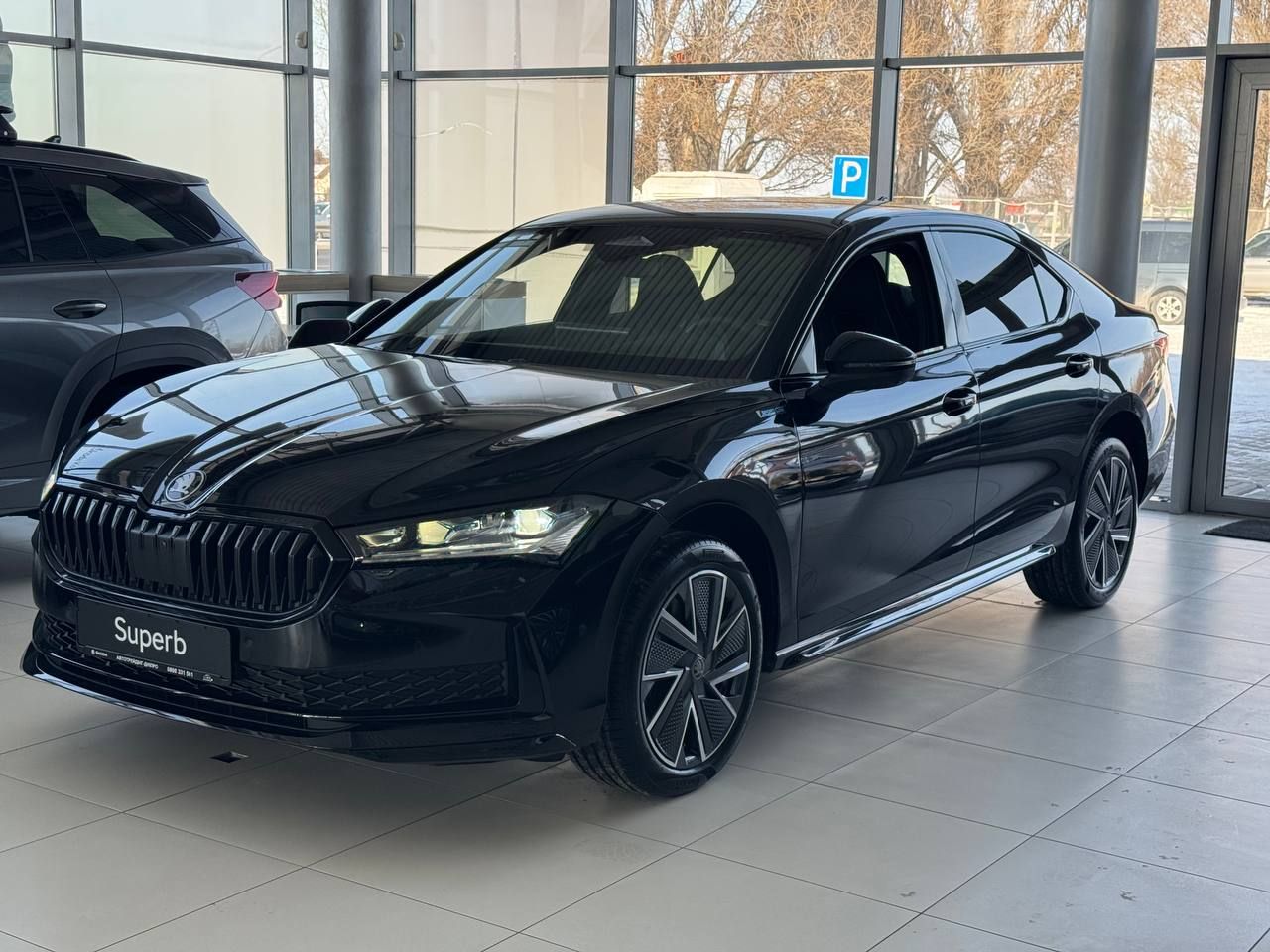 photo_5456280548687941202_y