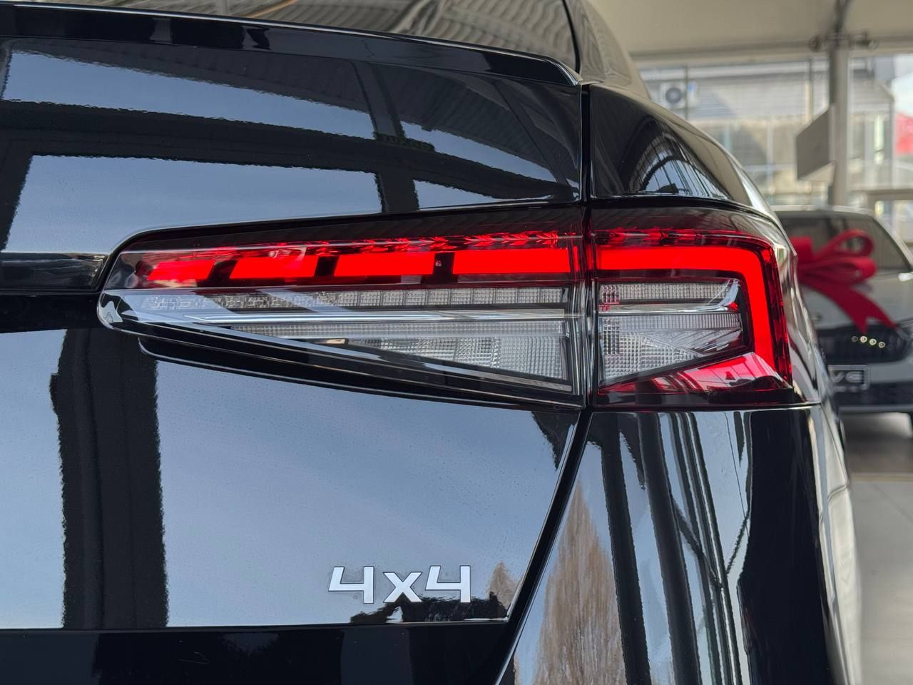 photo_5456280548687941151_y