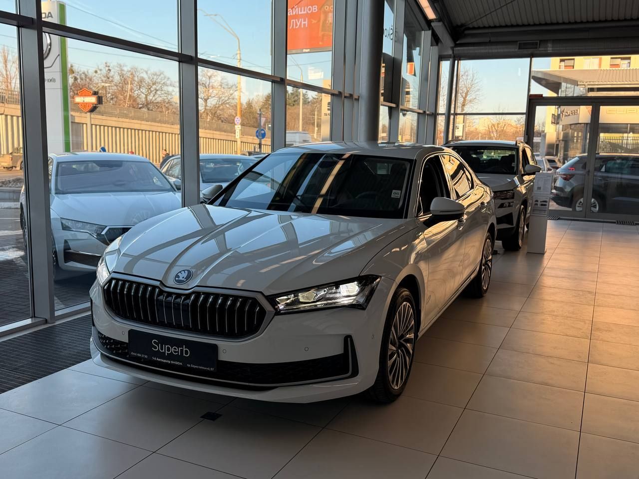 photo_1_2026-03-10_17-36-10