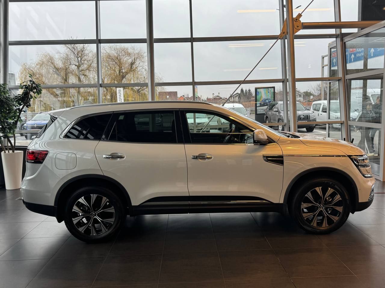 photo_2025-12-12_14-56-27