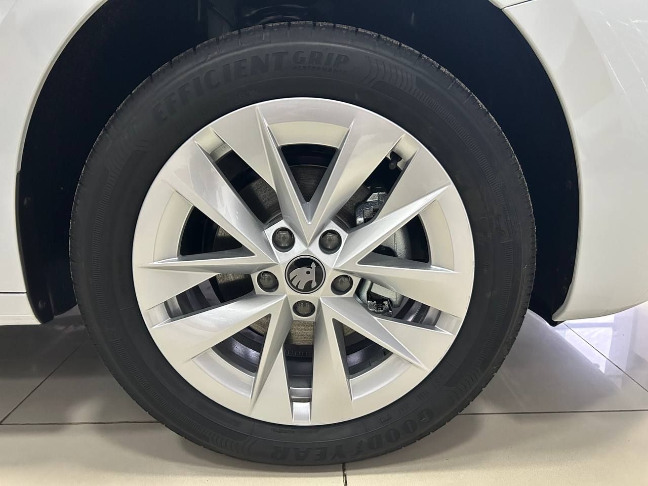 photo_2026-02-16_15-50-31 (2)