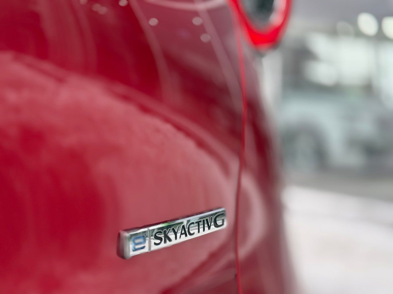 photo_11_2026-02-13_11-50-43