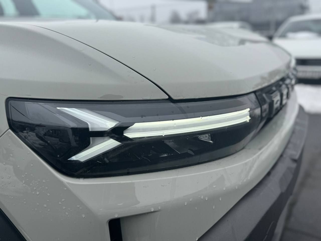 photo_2026-01-29_11-46-48