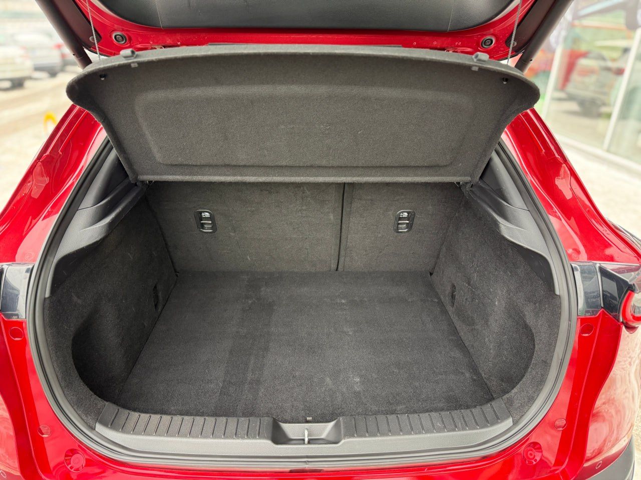 photo_12_2026-02-13_11-50-43