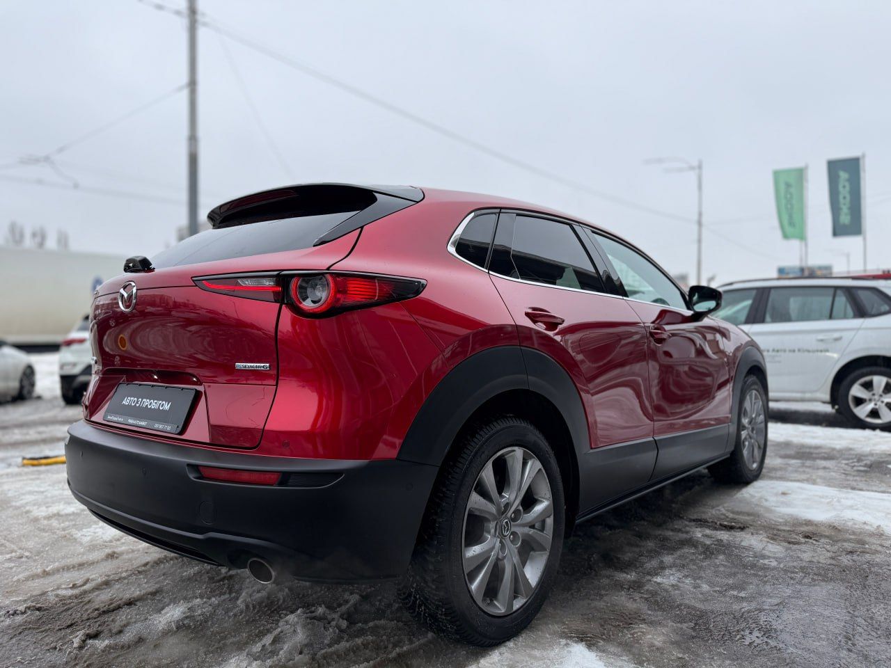 photo_20_2026-02-13_11-50-43