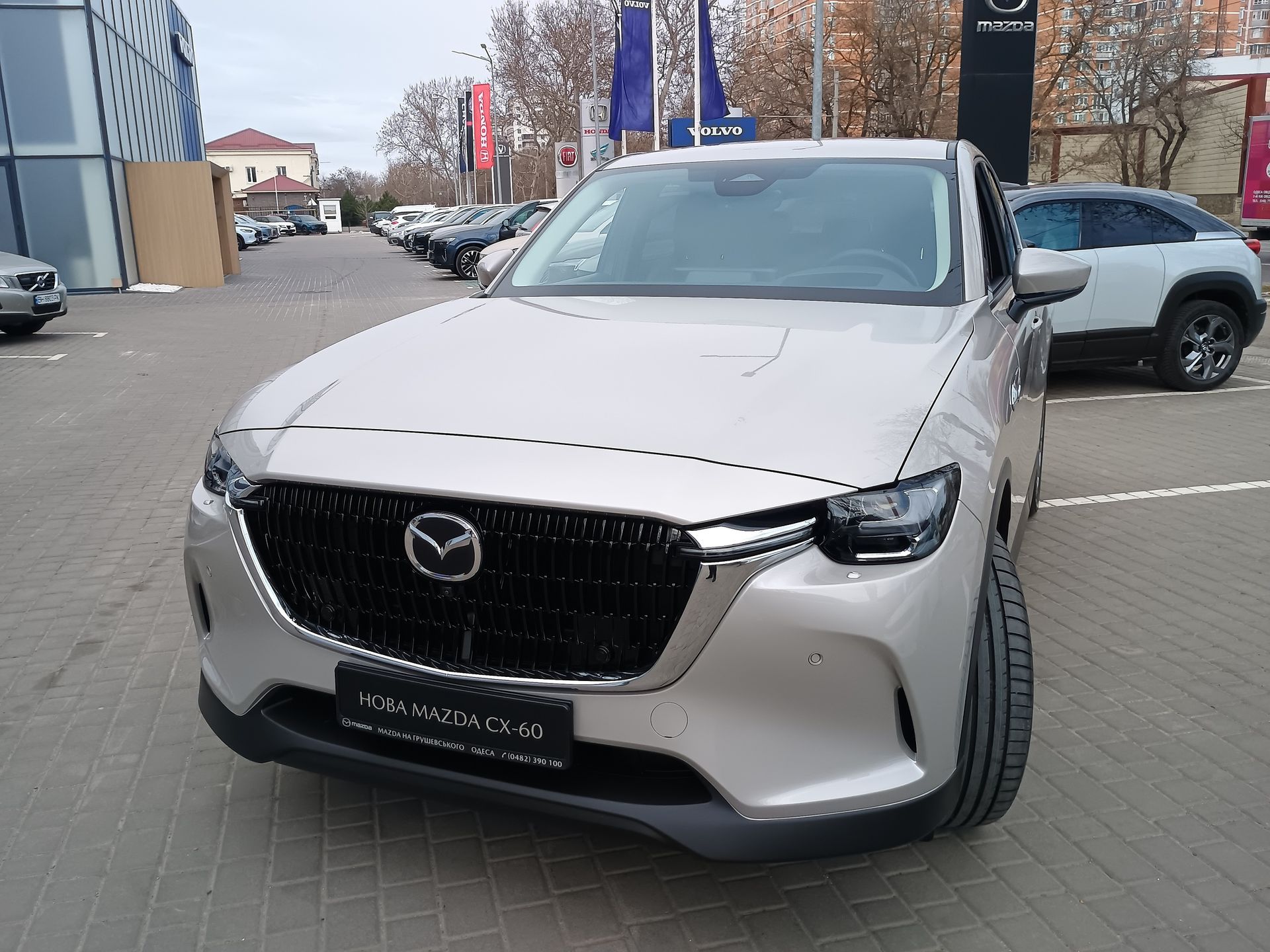 IMG_20260303_113146151