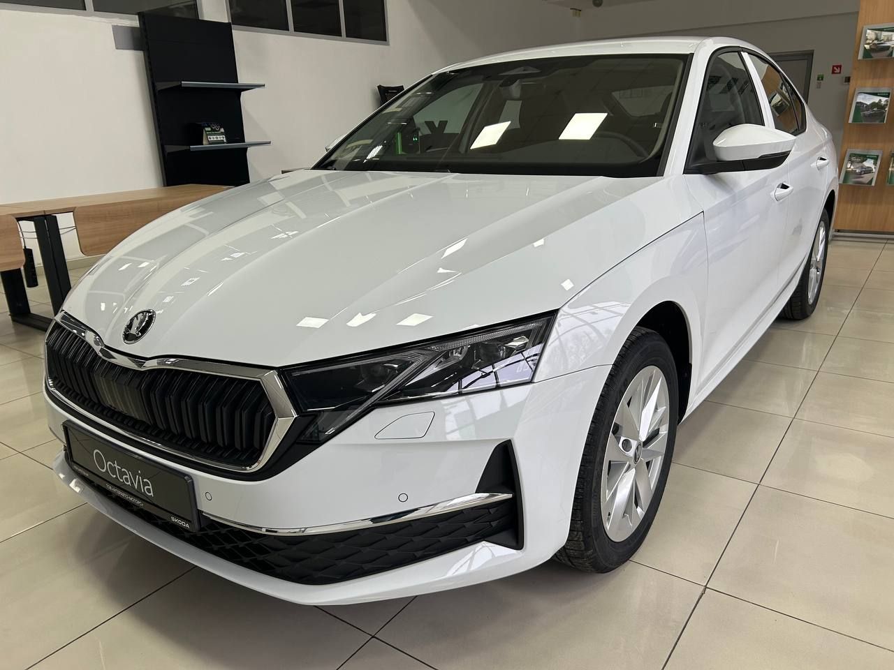 photo_2026-02-16_15-50-29 (2)