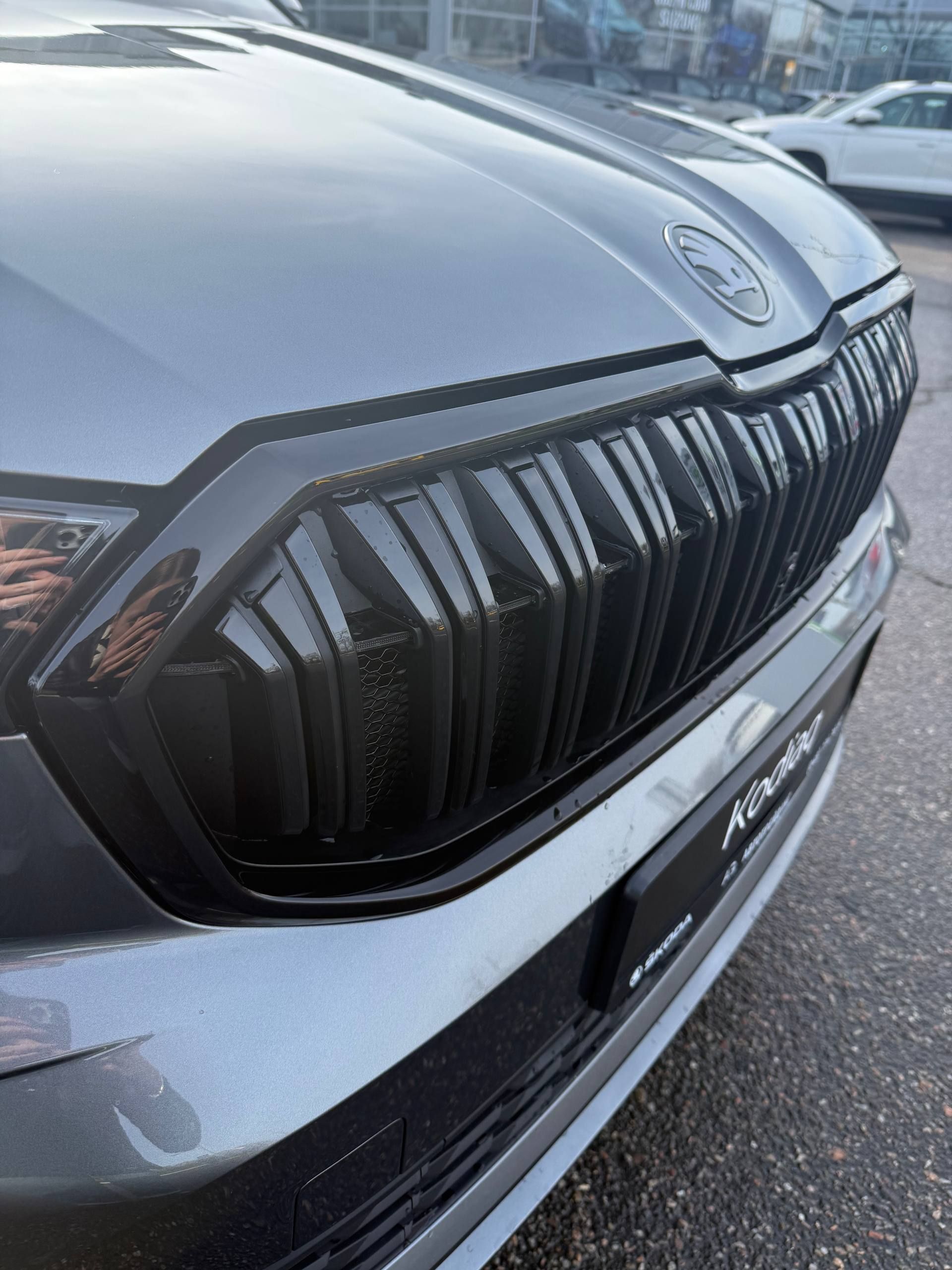 photo_2025-11-27_12-35-03