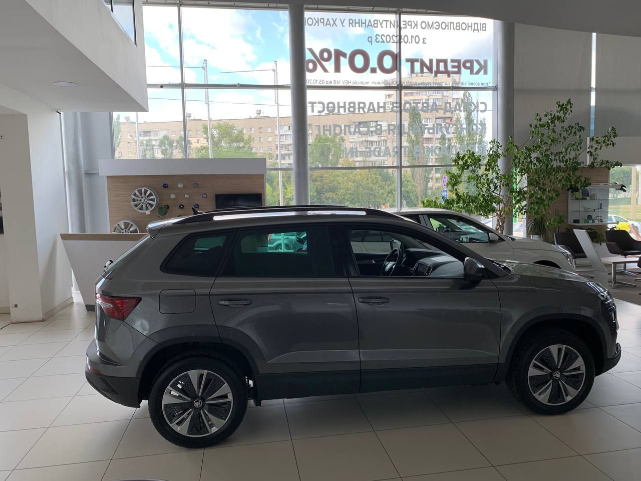 photo_5420301495976449032_y