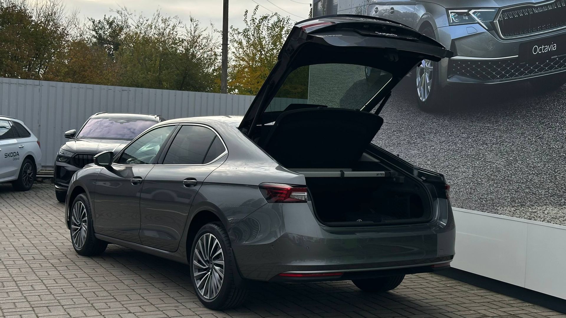 a2c10414-c94d-4e88-96da-96f8967ab50d.jfif