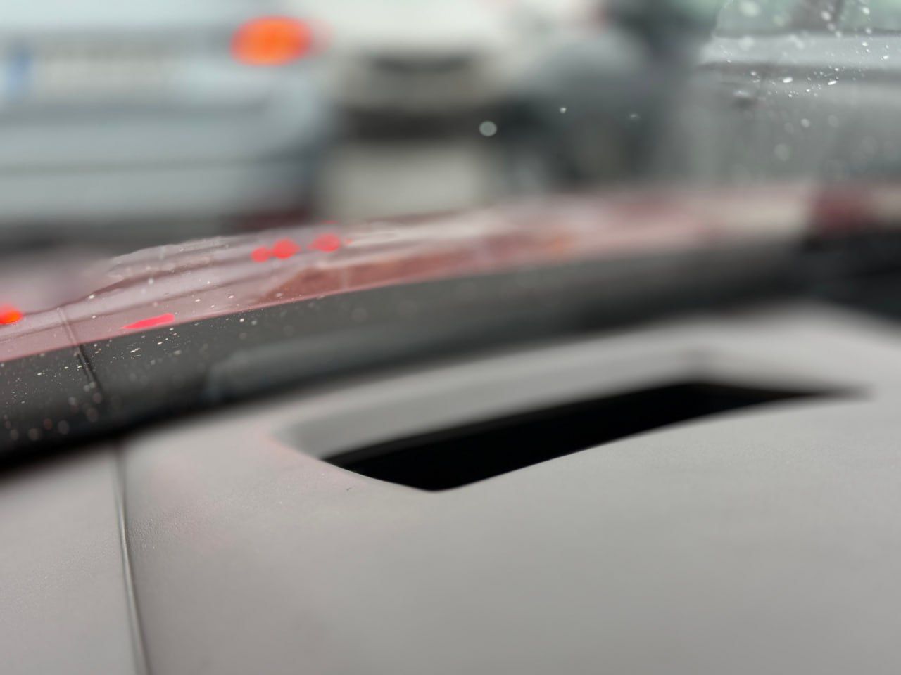 photo_8_2026-02-13_11-50-43