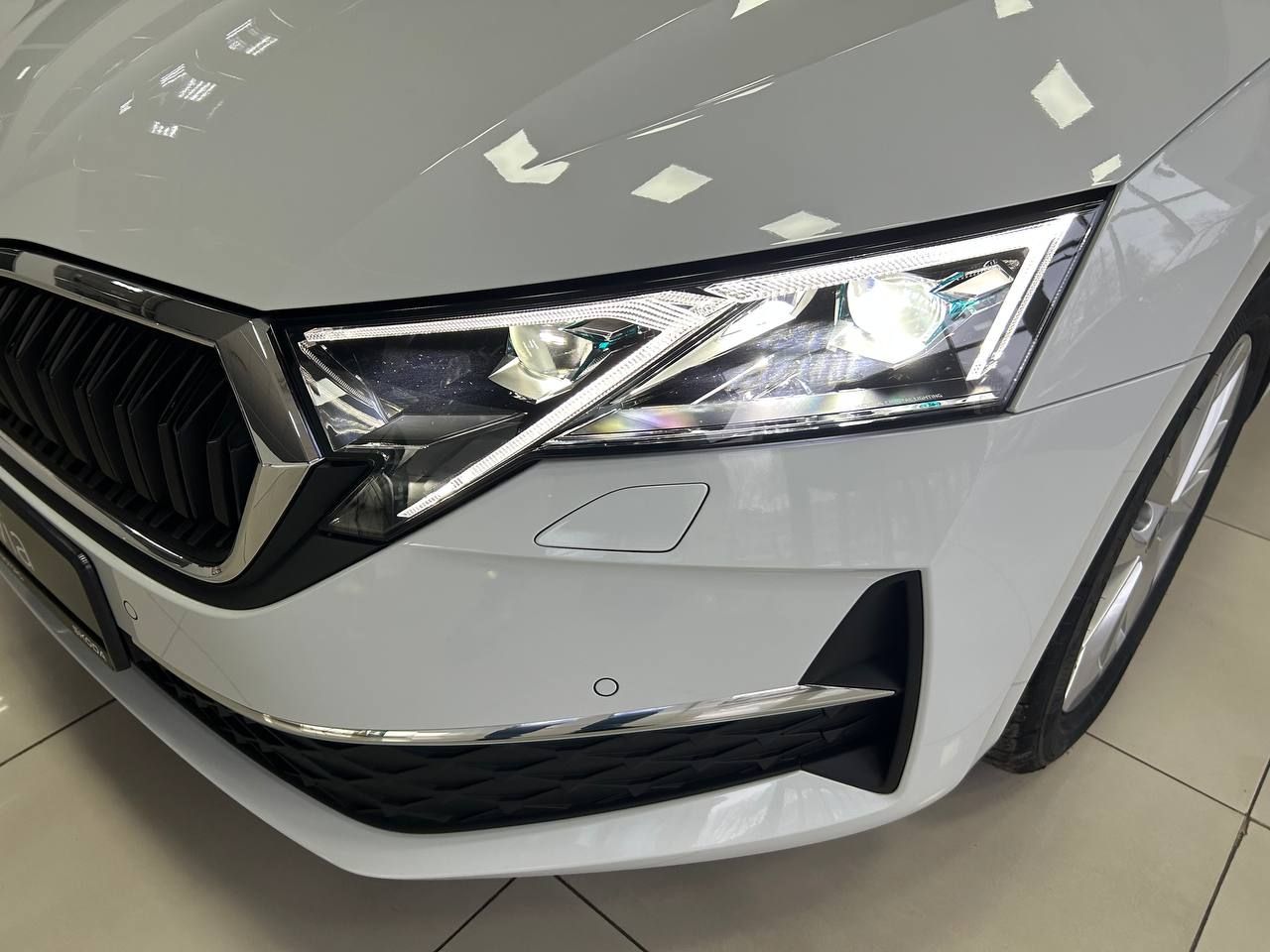 photo_2026-02-16_15-50-39