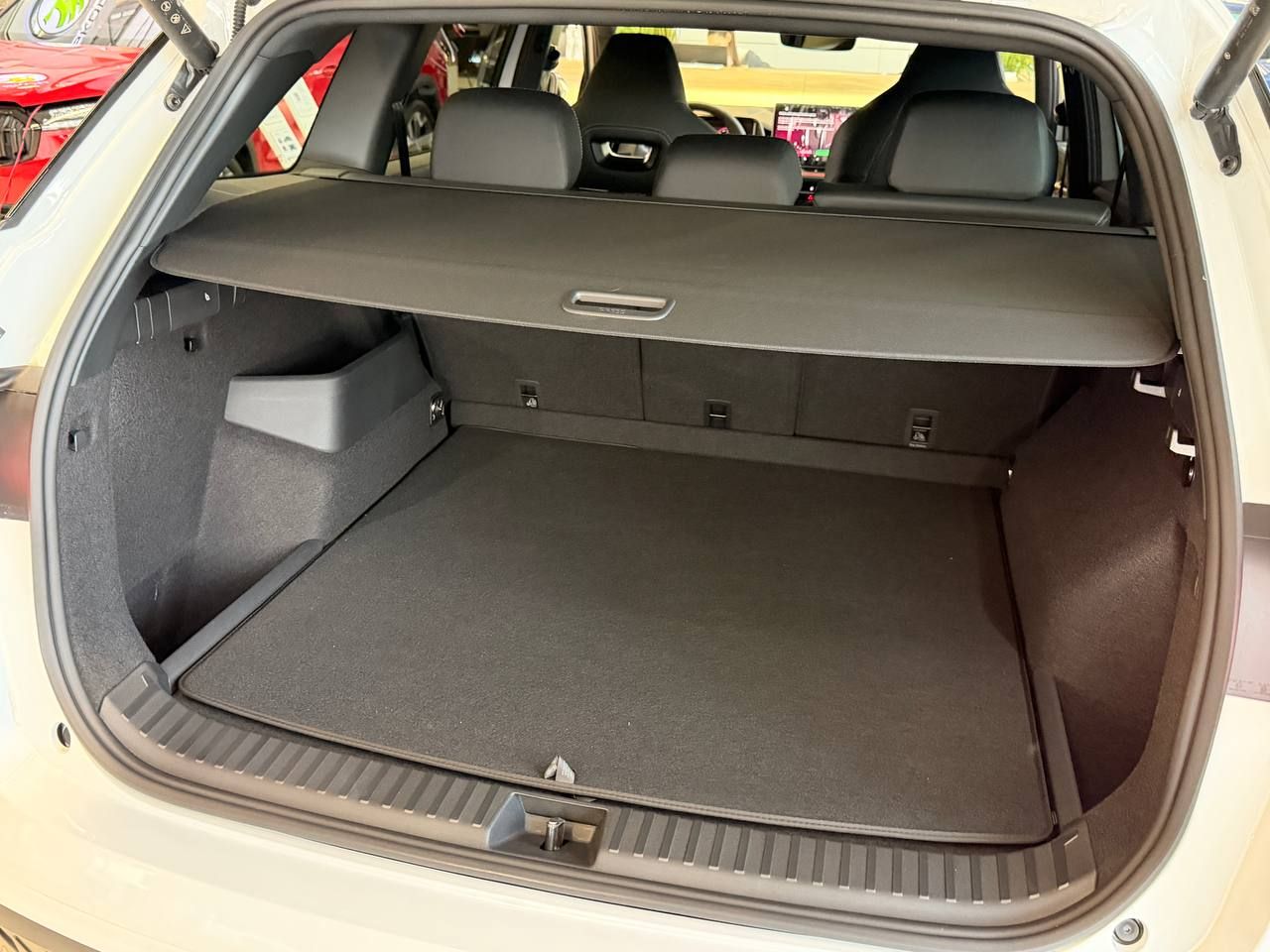 photo_1_2026-01-16_16-44-57