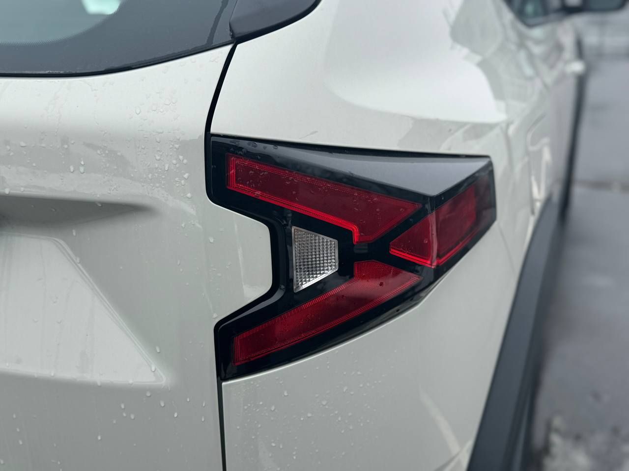 photo_2026-01-29_11-46-59