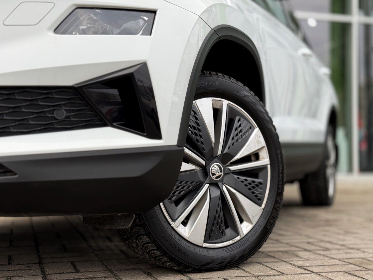 photo_3_2026-02-13_11-45-15