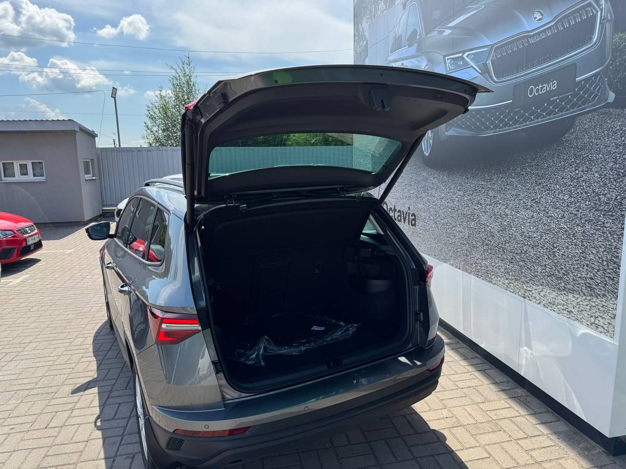 photo_5377661515928303968_y