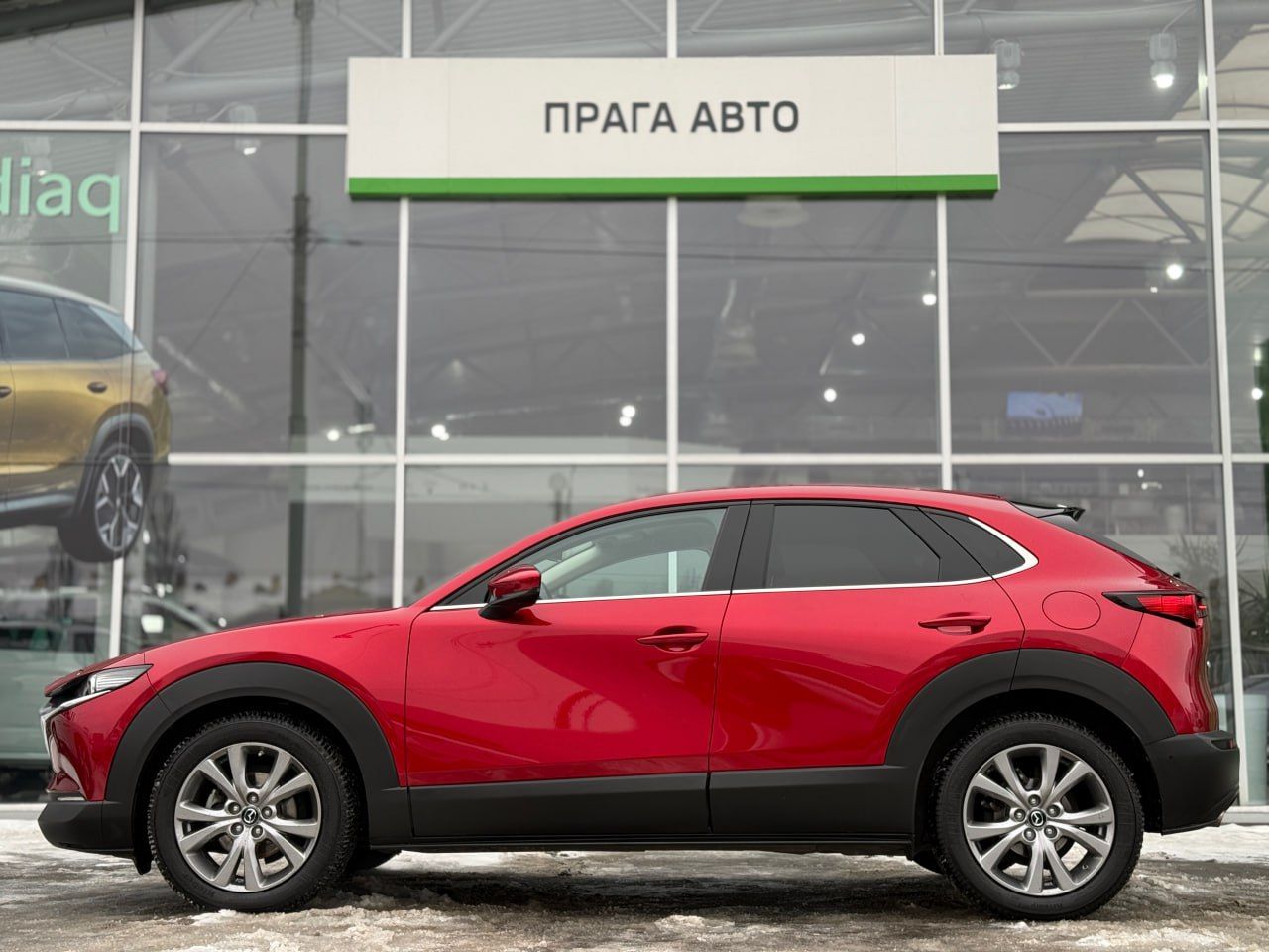 photo_18_2026-02-13_11-50-43