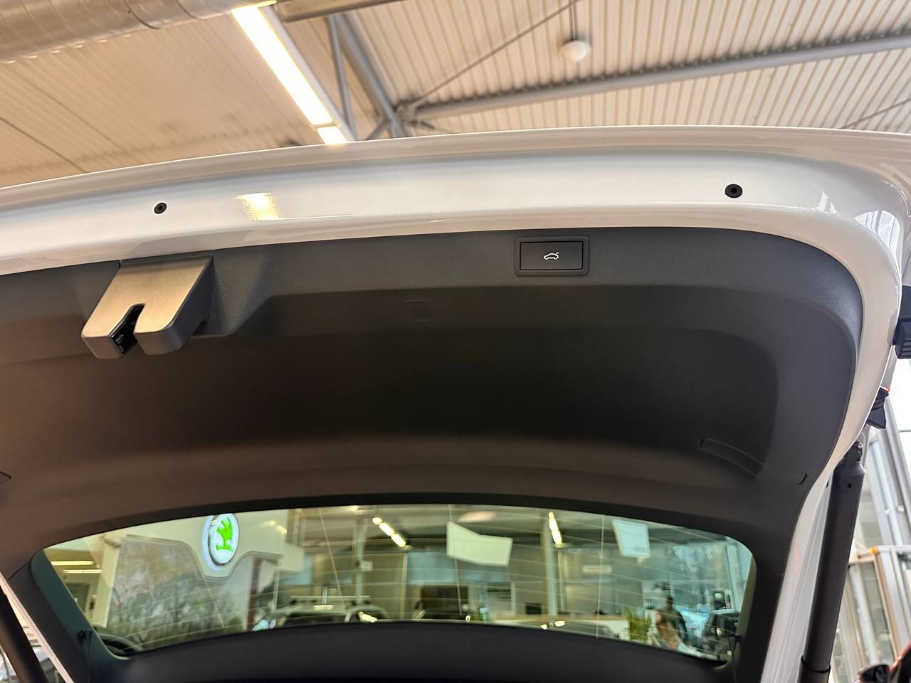 photo_5_2025-11-05_16-08-35