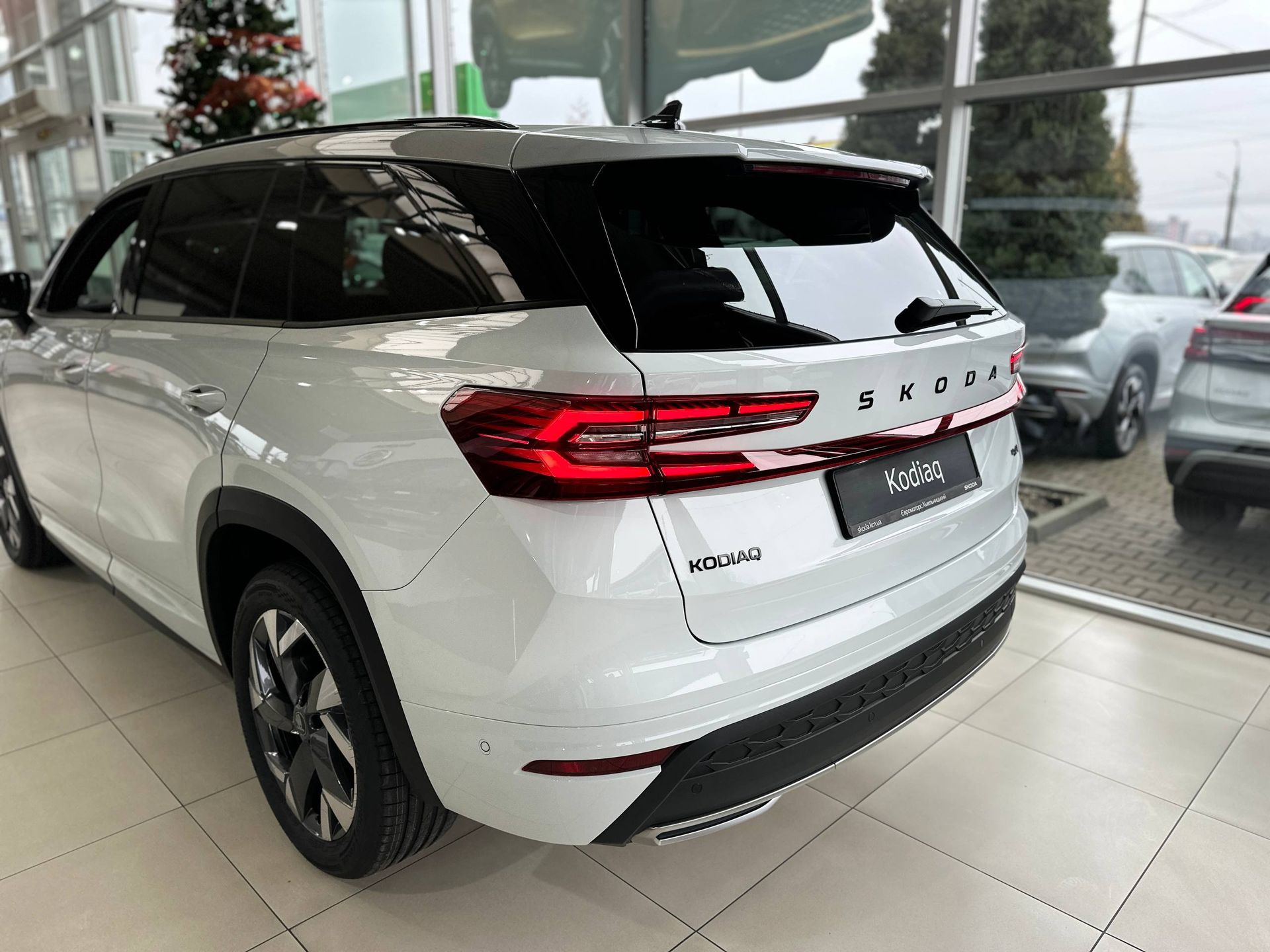 photo_2_2025-12-12_14-52-41