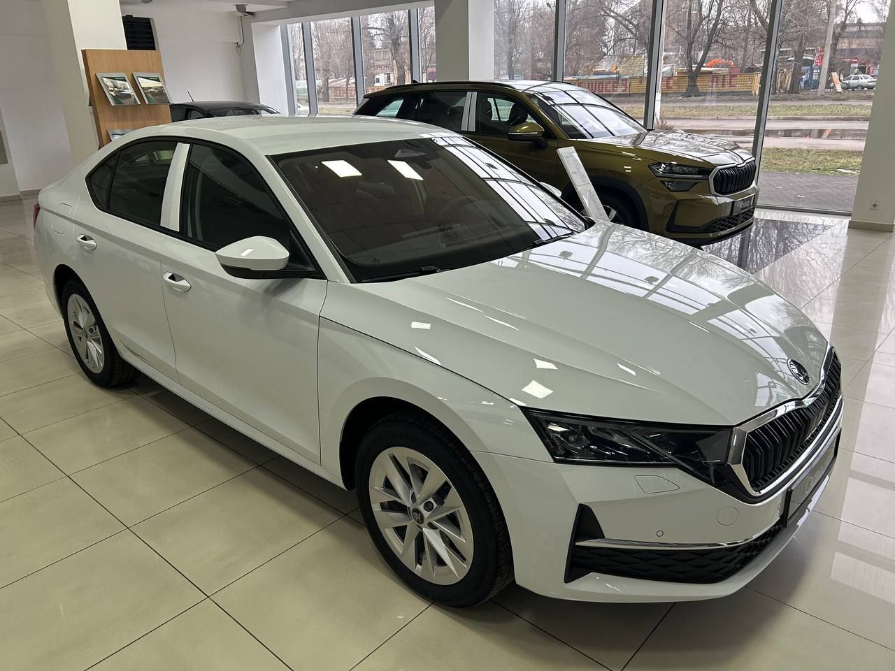 photo_2026-02-16_15-50-27