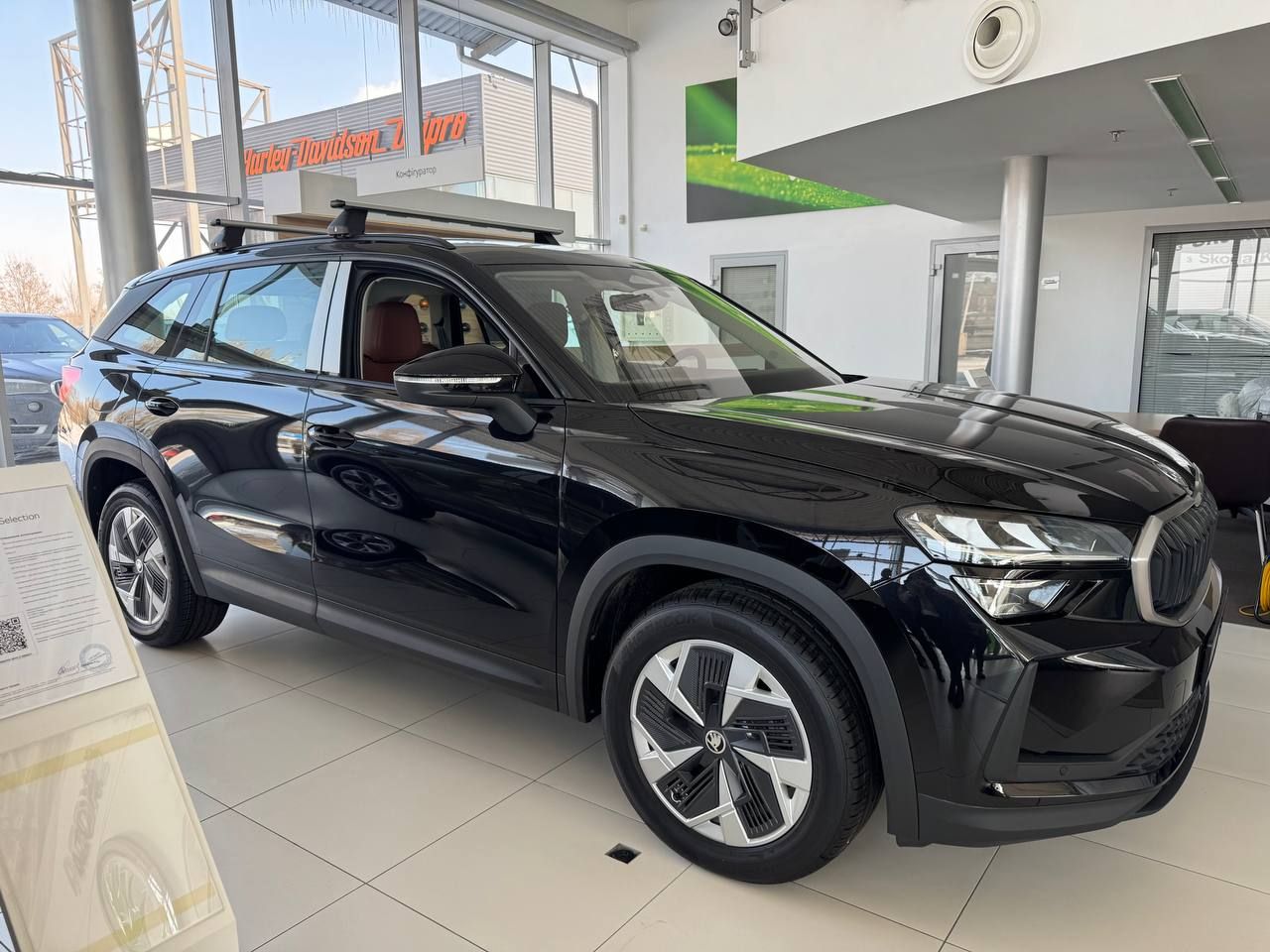 photo_5316988024766197215_y