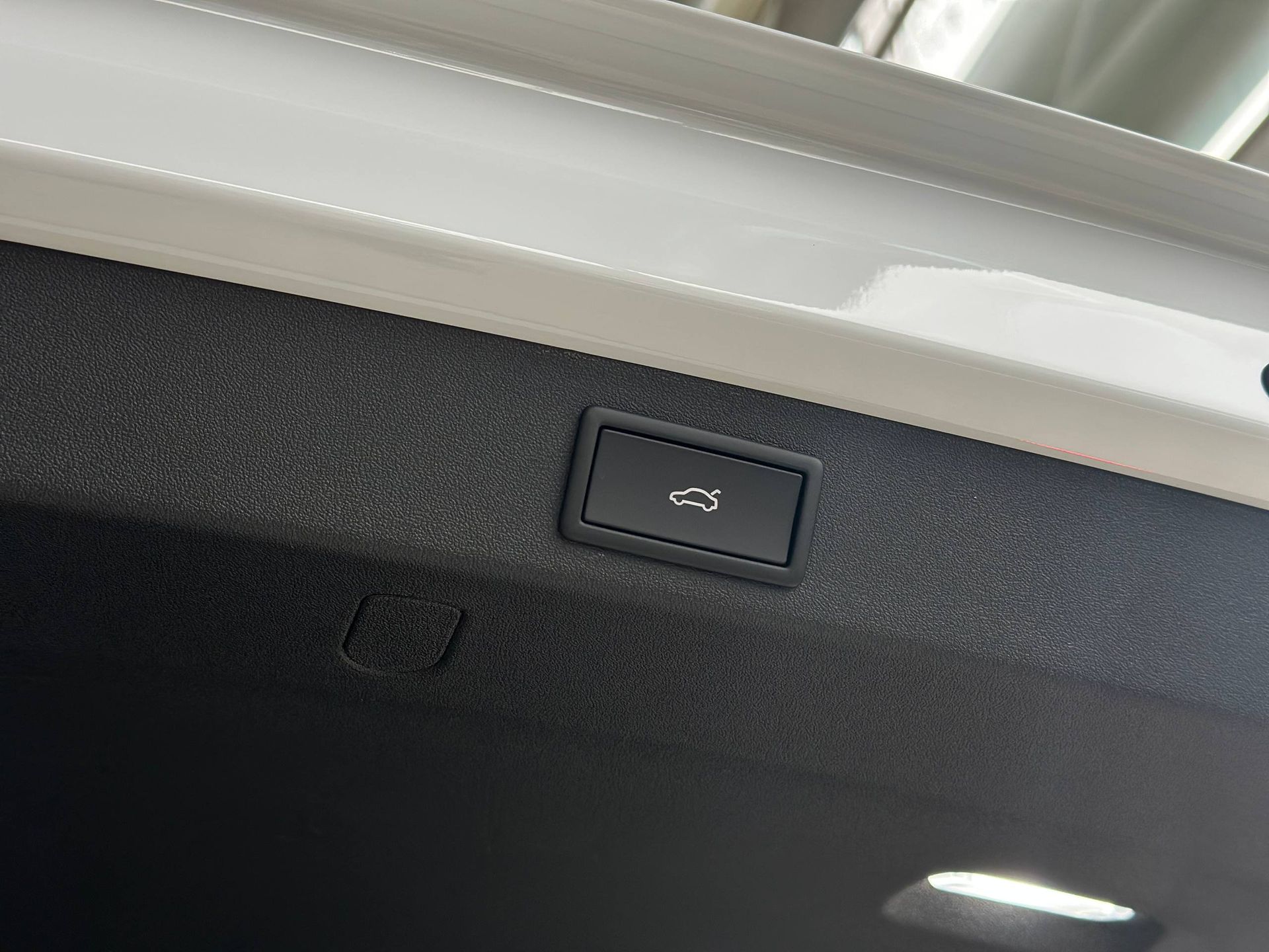 photo_19_2025-12-12_14-52-41