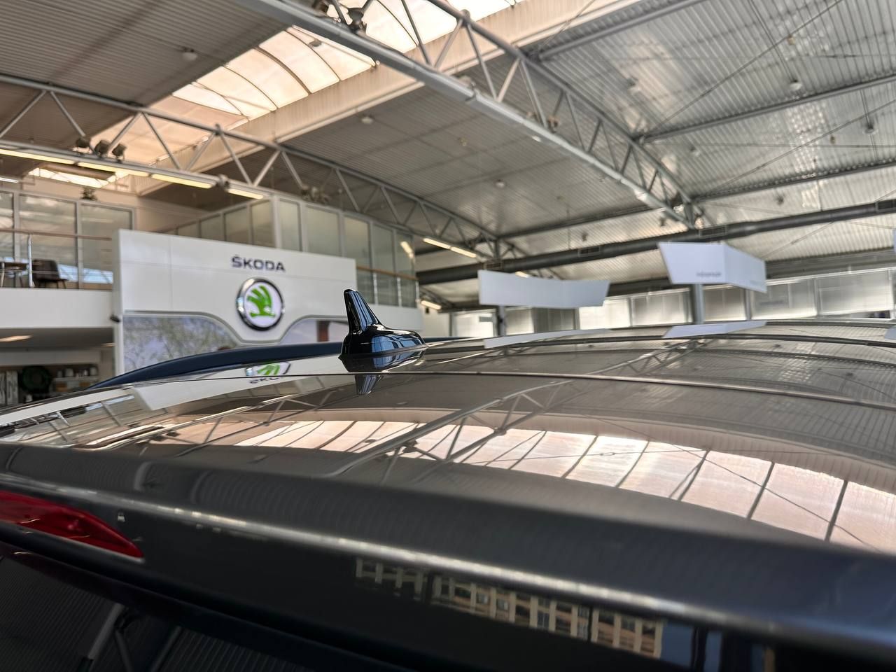 photo_19_2025-09-04_17-03-00