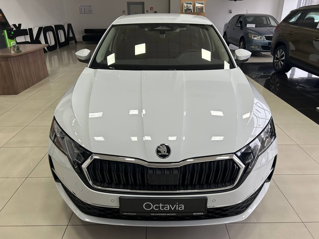 photo_2026-02-16_15-50-28