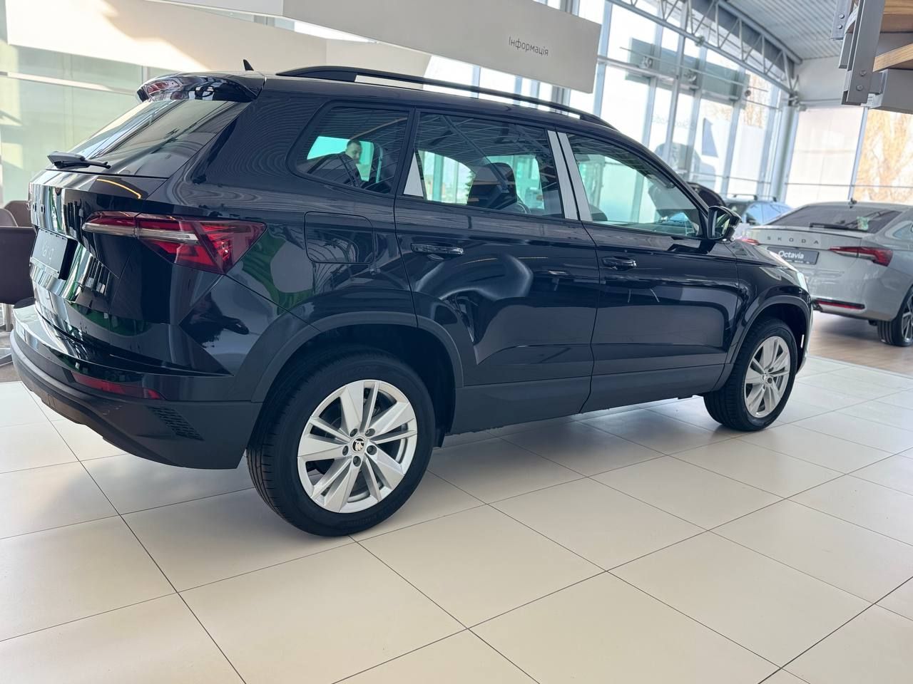 photo_5456280548687941135_y