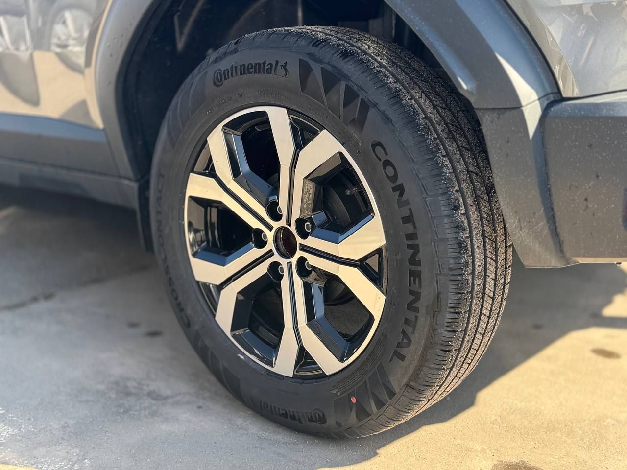 photo_2026-03-10_11-45-21