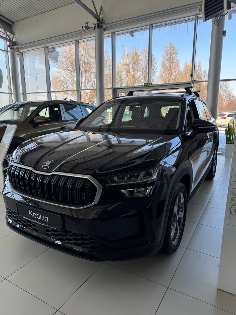 photo_5316988024766197216_y