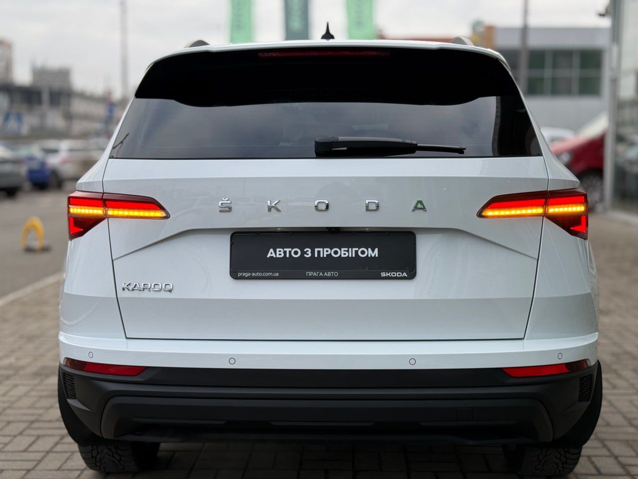 photo_8_2026-02-13_11-45-15