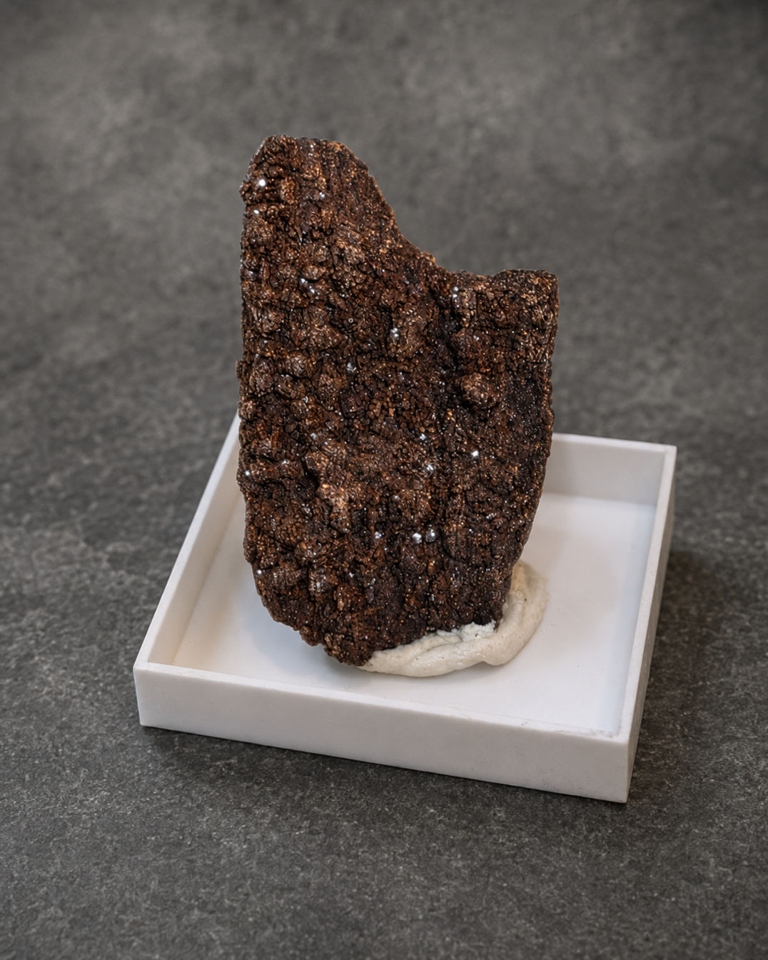 Petrified Wood Collector Mineral Specimen