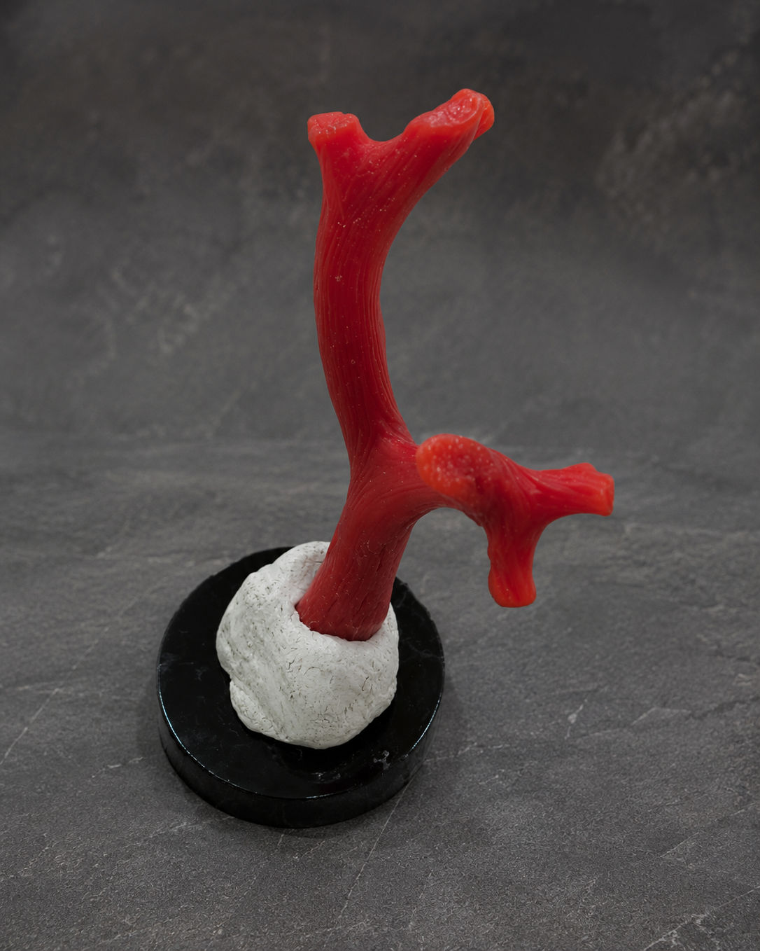 Coral Collector Mineral Specimen