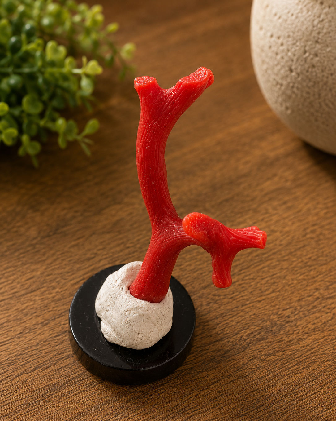 Coral 