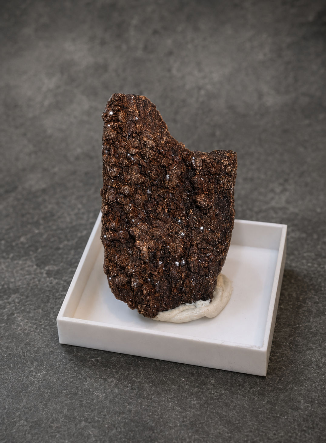 Petrified Wood Collector Mineral Specimen
