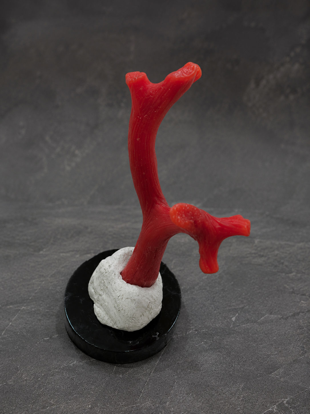 Coral Collector Mineral Specimen