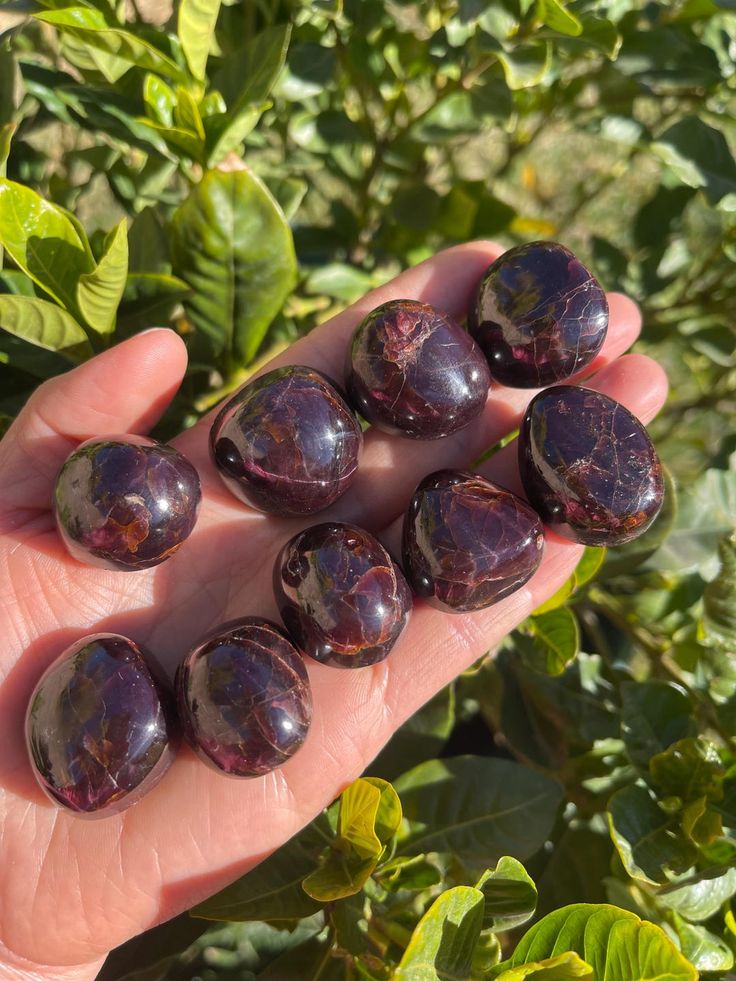 Garnet